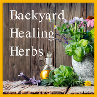 Backyard Healing Herbs